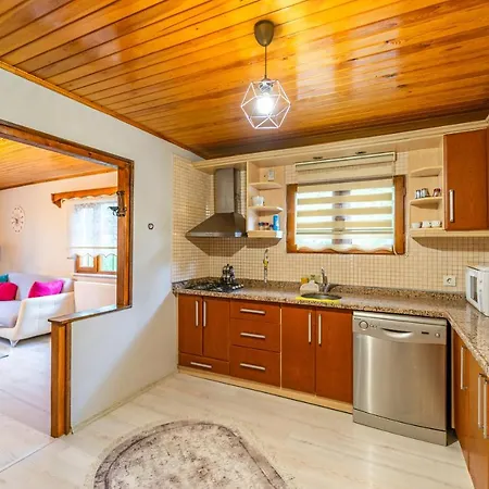 Bed and Breakfast Sapancaminihouse 4*