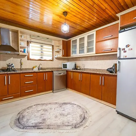 Sapancaminihouse