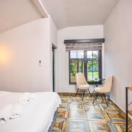 Sapancaminihouse 萨潘贾