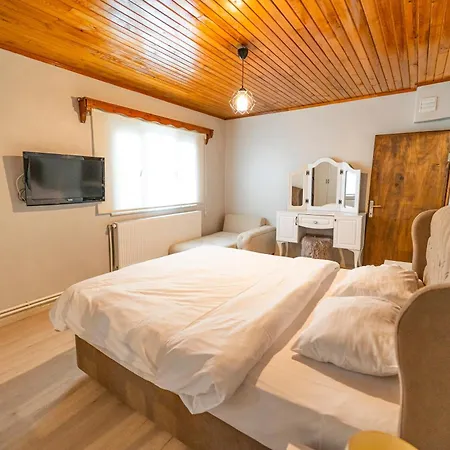 Sapancaminihouse 4* 萨潘贾